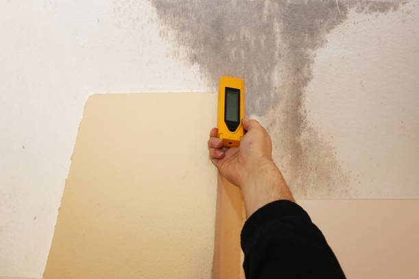 Best Mold Documentation for Insurance Claims  in Lake Los Angeles, CA