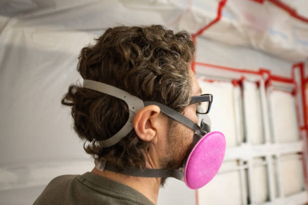 Best Asbestos and Lead Testing During Mold Inspection  in Lake Los Angeles, CA