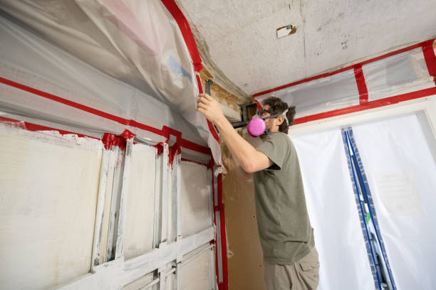 Best Black Mold Removal  in Lake Los Angeles, CA